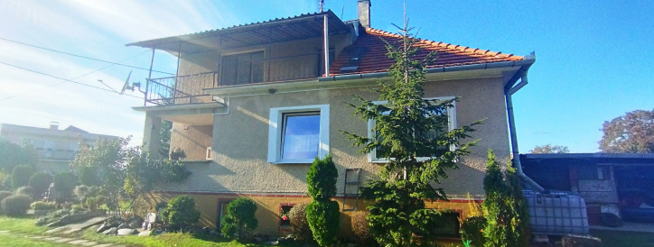 TEkovske NEmce
